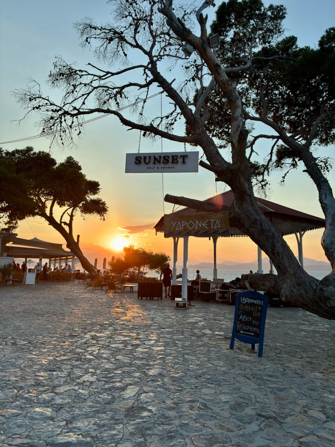 The sun setting over the sea behind pine trees on the waterfront of Hydra Town