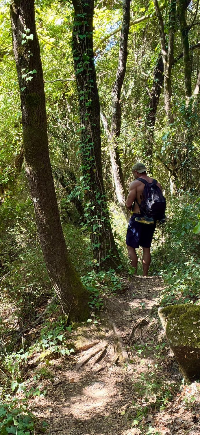 Hiking a narrow path through dense green forest at Polylimnio