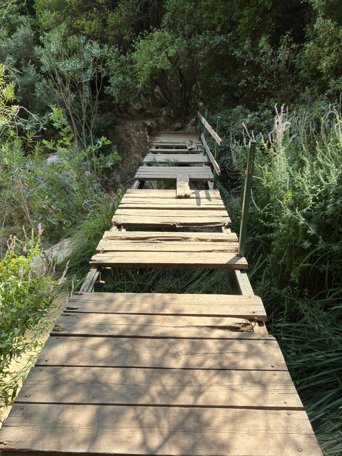 The old wooden bridge at Polylimnio with weathered and missing planks